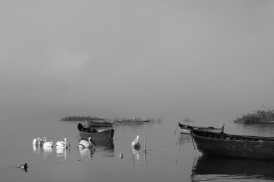 bereketlikoyu1 copy