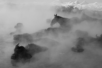 bitlis2 copy
